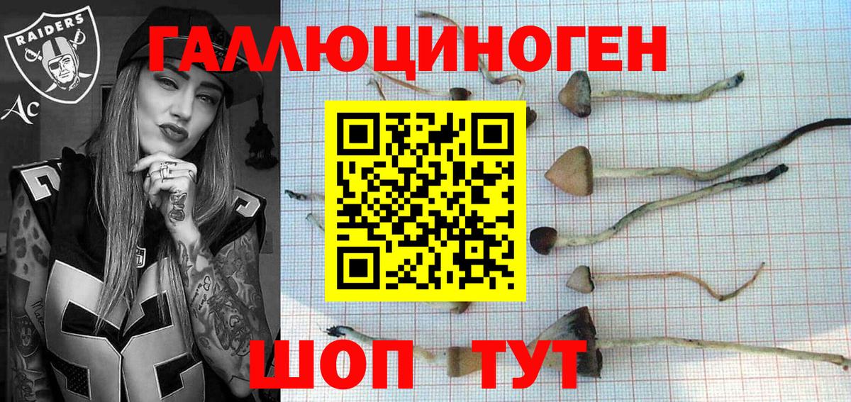 Галлюциногенные грибы мухоморы Петрозаводск